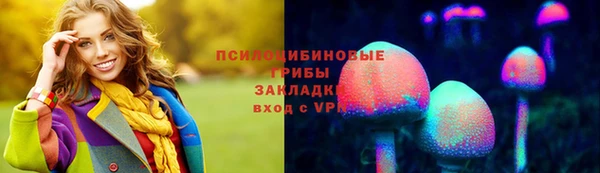 стаф Алзамай