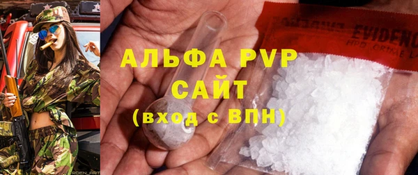стаф Алзамай