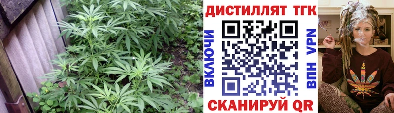 Дистиллят ТГК Wax купить цена Темников